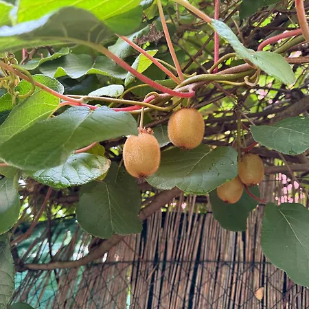 Close To Downtown, Klagenfurt And Woerthersee Klagenfurt am Woerthersee