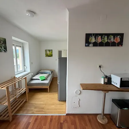 Close To Downtown, Klagenfurt And Woerthersee アパート クラーゲンフルト