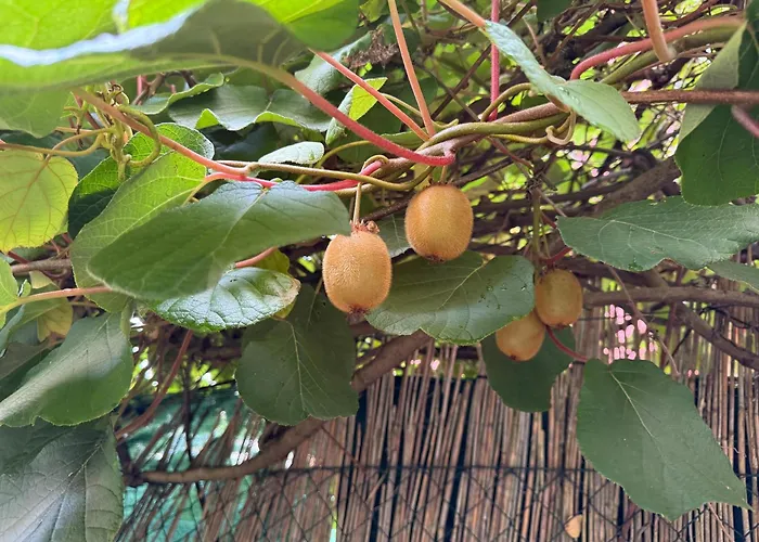 Close To Downtown, Klagenfurt And Woerthersee 克拉根福